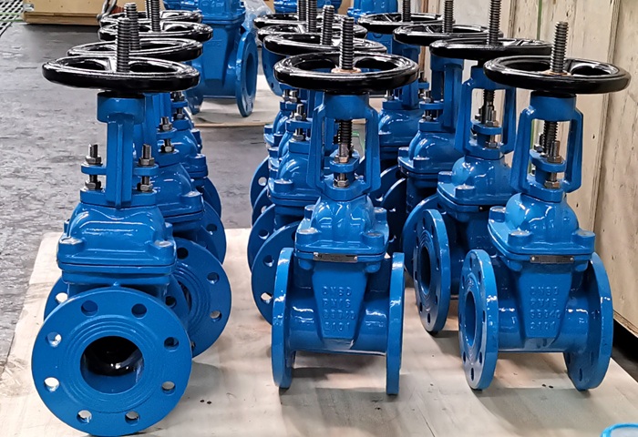 Van cổng ty nổi Trung Quốc