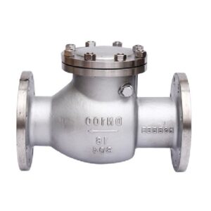 Van một chiều inox DN200