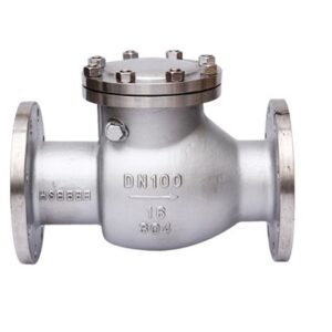 Van một chiều inox DN100