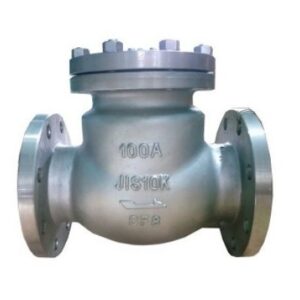 Van một chiều inox DN80