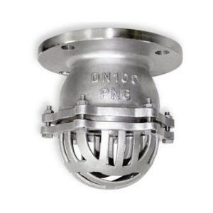 Rọ bơm inox DN100