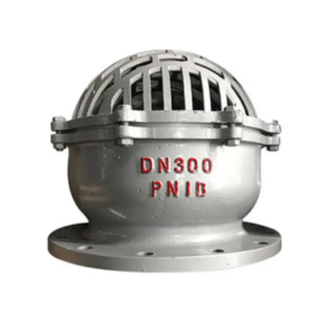 Rọ bơm inox DN300