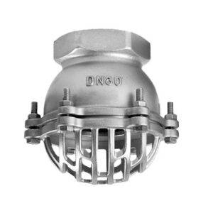 Rọ bơm inox DN80