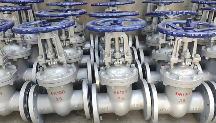 Van cửa thép carbon WCB