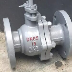 Van bi tay gạt thép WCB