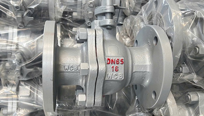 Van bi thép tay gạt WCB